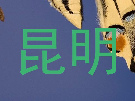 昆明