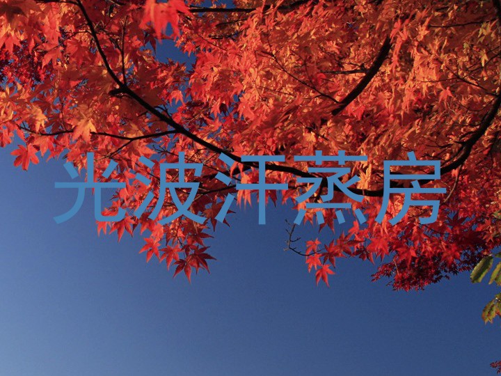 光波汗蒸房