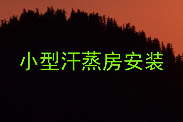 小型汗蒸房安装
