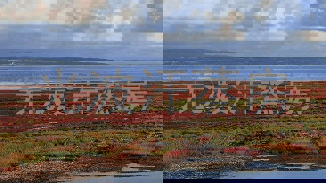 光波汗蒸房