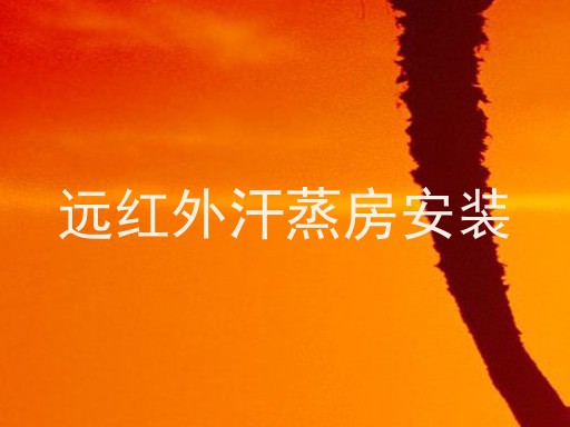 远红外汗蒸房安装