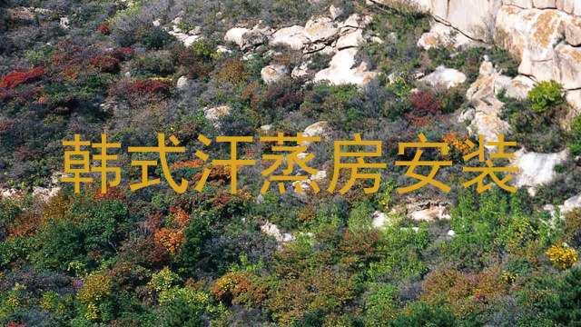 韩式汗蒸房安装