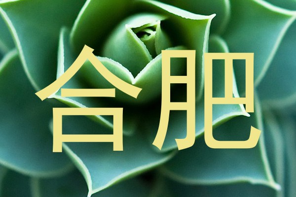 合肥