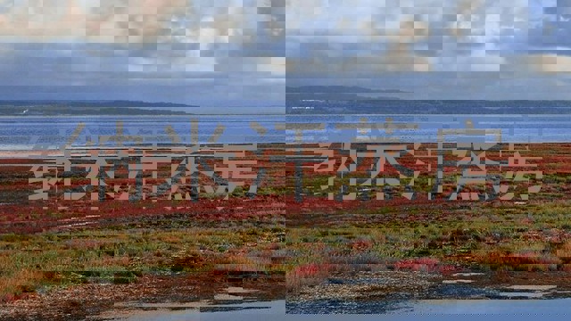纳米汗蒸房