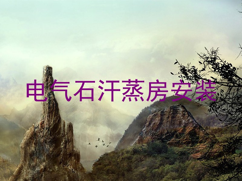 电气石汗蒸房安装