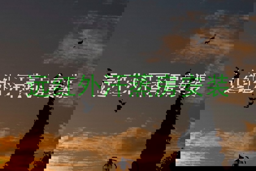 远红外汗蒸房安装