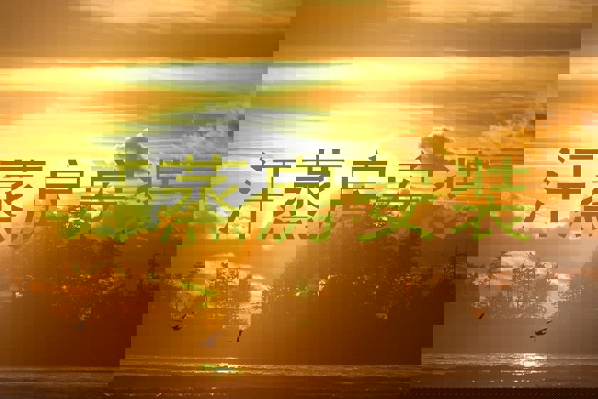 汗蒸房安装