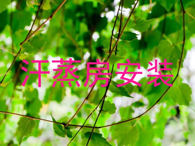 汗蒸房安装