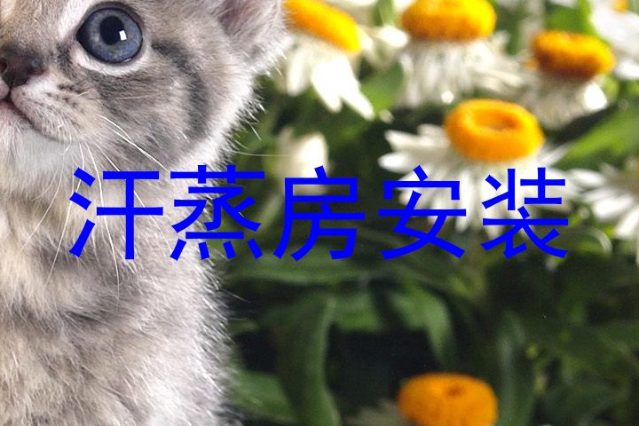 汗蒸房安装