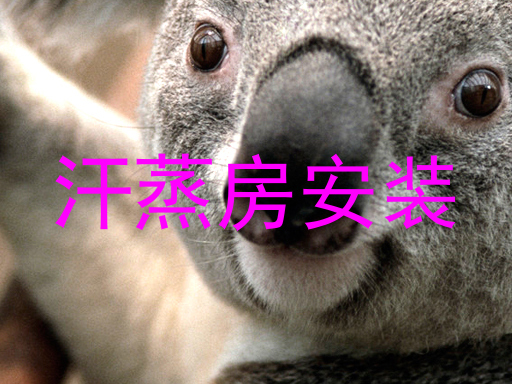 汗蒸房安装