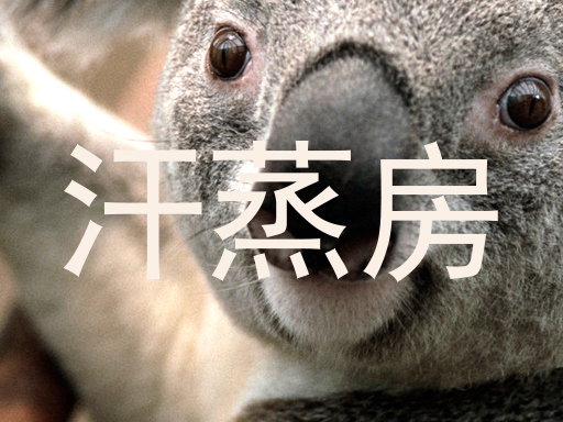 汗蒸房