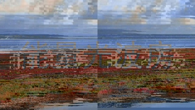 能量光波房