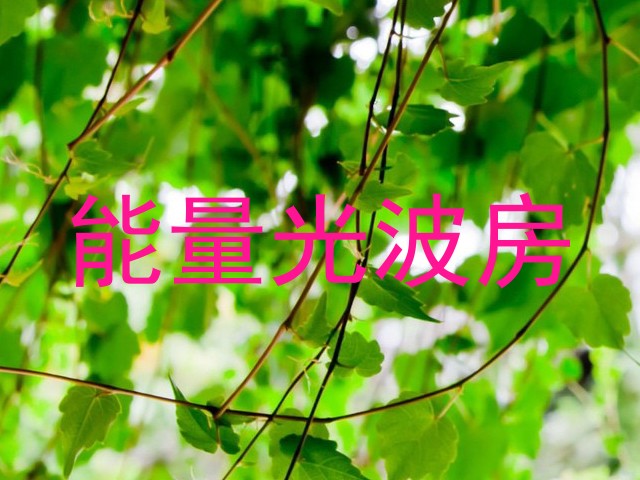 能量光波房