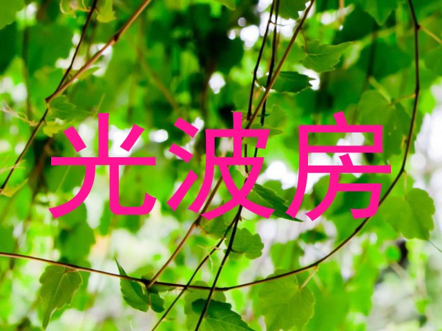 光波房