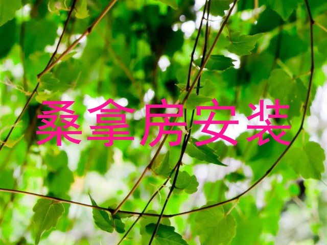 桑拿房安装