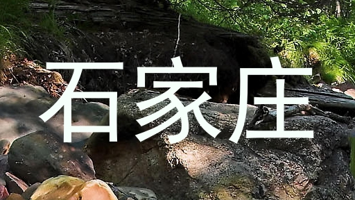 石家庄