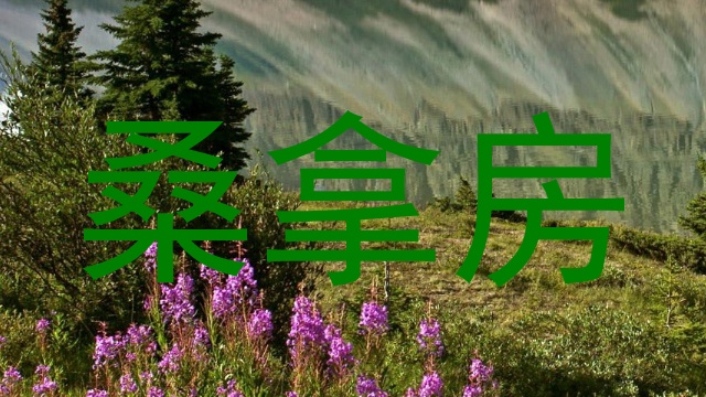 桑拿房