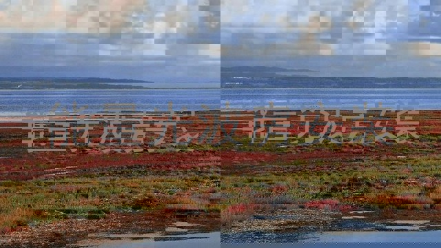 能量光波房安装