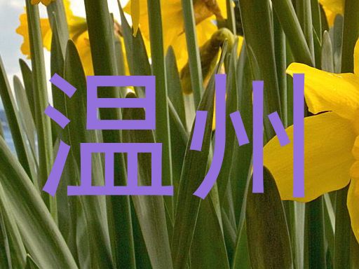 温州
