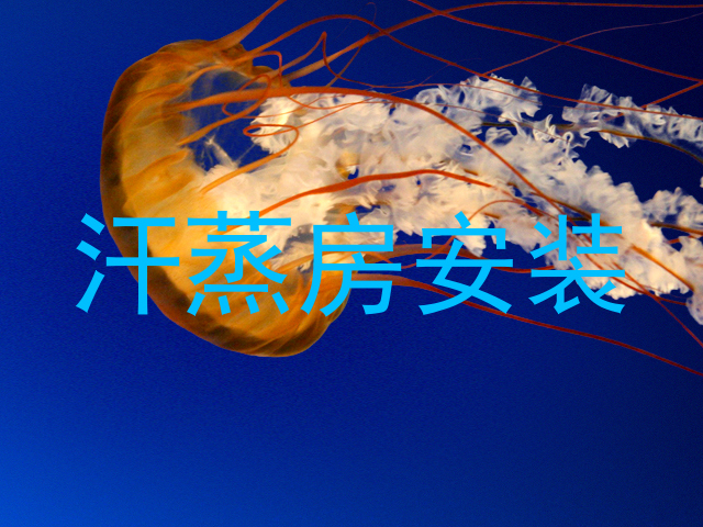 汗蒸房安装