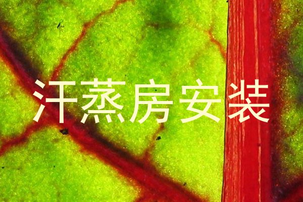 汗蒸房安装