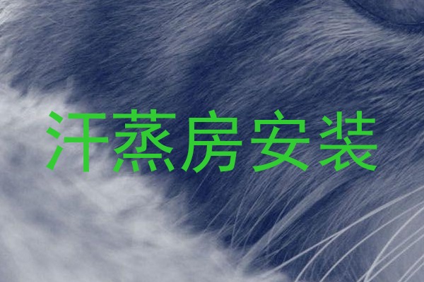 汗蒸房安装