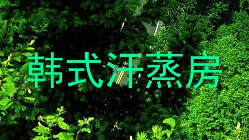 韩式汗蒸房