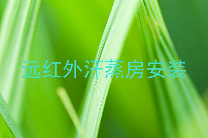 远红外汗蒸房安装