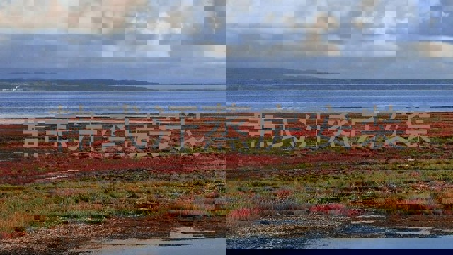 韩式汗蒸房安装