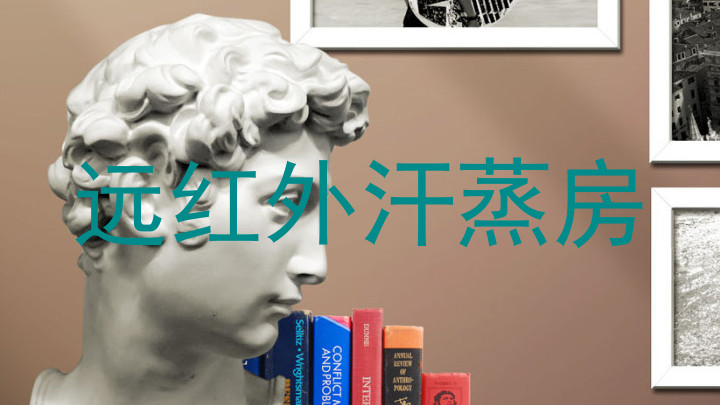 远红外汗蒸房