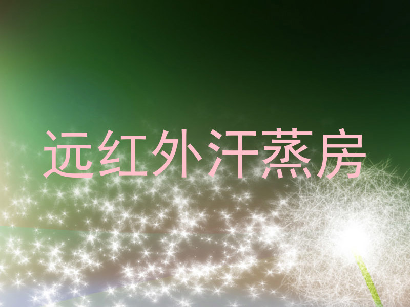 远红外汗蒸房