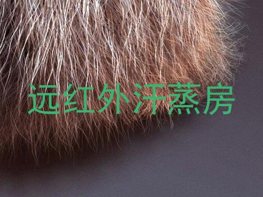 远红外汗蒸房