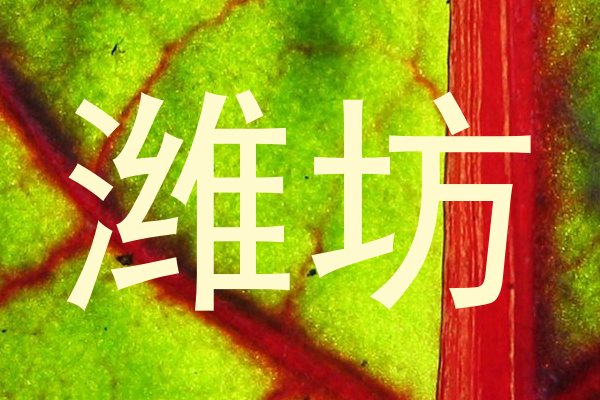 潍坊