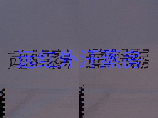远红外汗蒸房