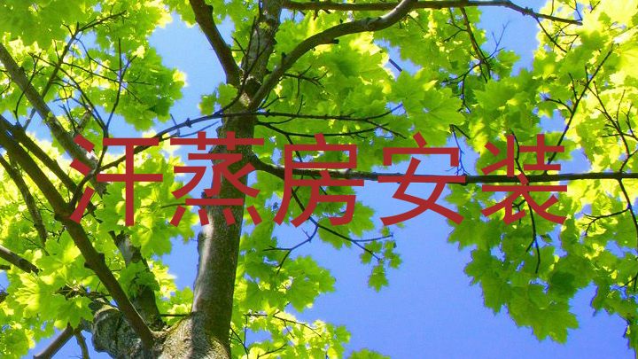 汗蒸房安装