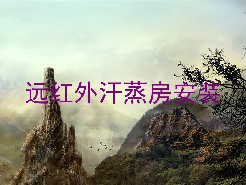 远红外汗蒸房安装