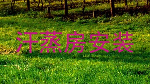 汗蒸房安装