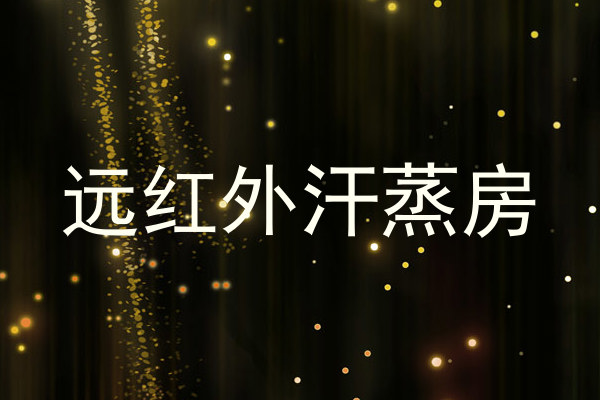 远红外汗蒸房