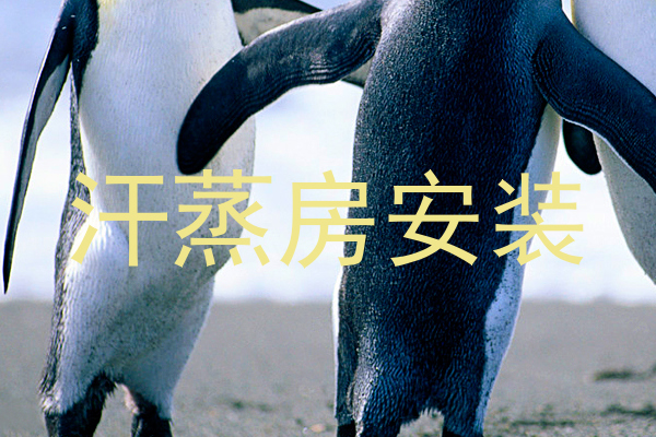 汗蒸房安装