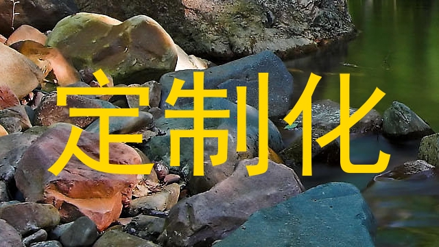 定制化