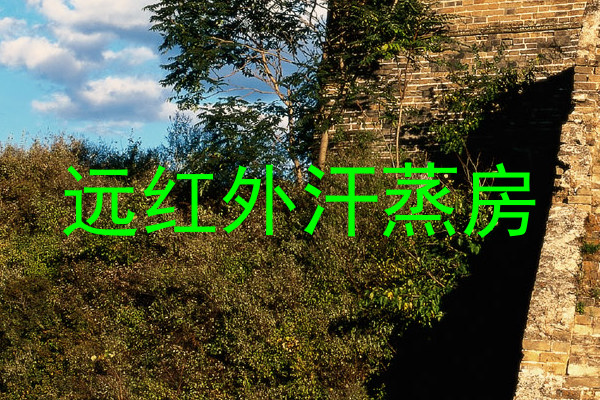 远红外汗蒸房
