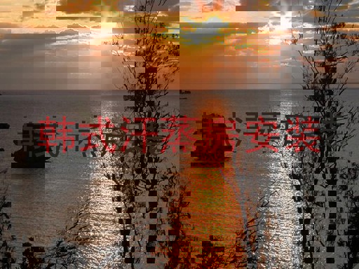 韩式汗蒸房安装