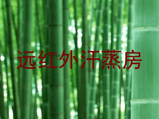 远红外汗蒸房