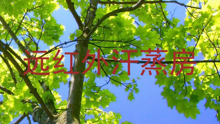 远红外汗蒸房