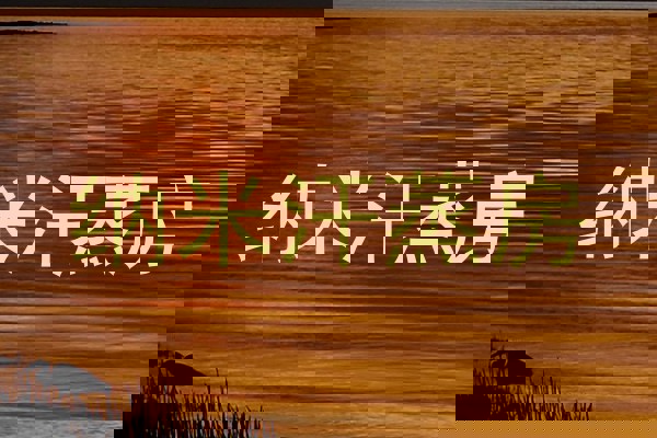 纳米汗蒸房