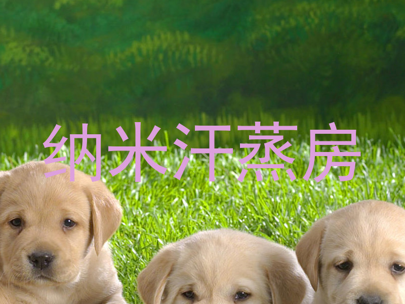 纳米汗蒸房