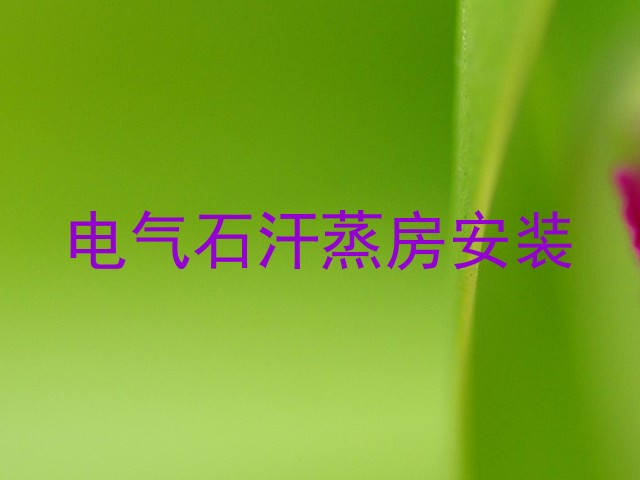 电气石汗蒸房安装