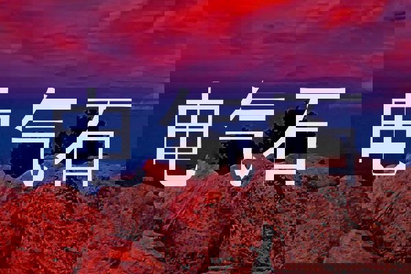 电气石