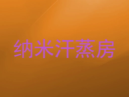 纳米汗蒸房
