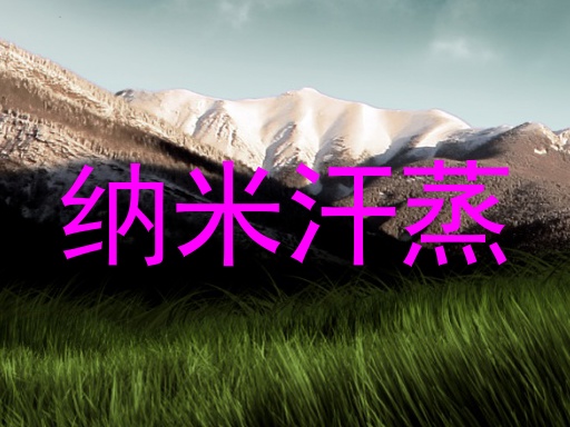 纳米汗蒸